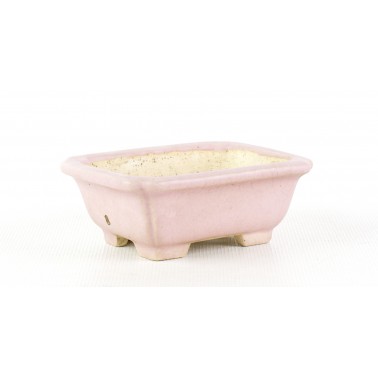 Shibakatsu Bonsai Pot AUT-147