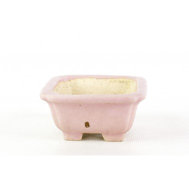 Shibakatsu Bonsai Pot AUT-147