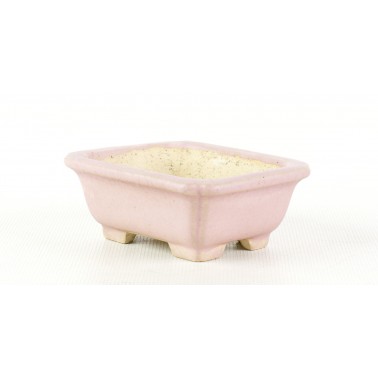 Shibakatsu Bonsai Pot AUT-147