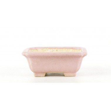 Maceta Bonsái Shibakatsu 147