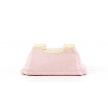 Maceta Bonsái Shibakatsu 147