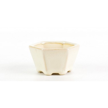 Yixing Bonsai Pot ESC-004