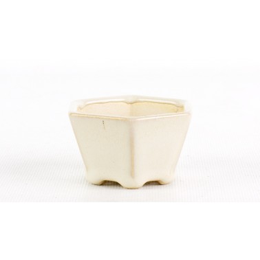 Maceta Bonsái Yixing ESC-004