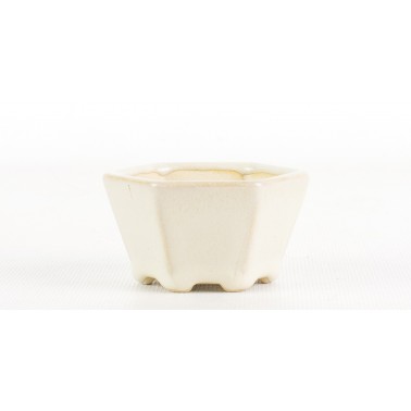 Maceta Bonsái Yixing ESC-004