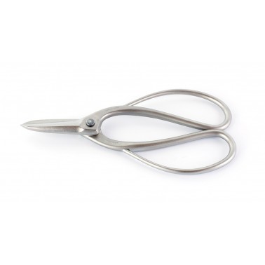 Stainless Steel Root Scissors 180mm - Masakuni N8001