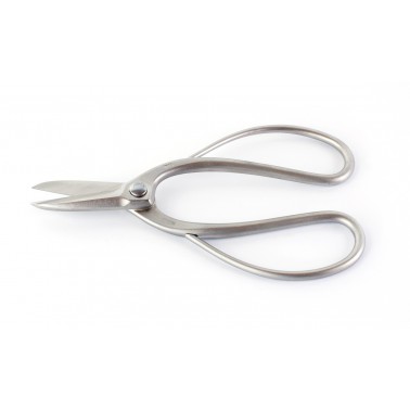 Stainless Steel Root Scissors 180mm - Masakuni N8001