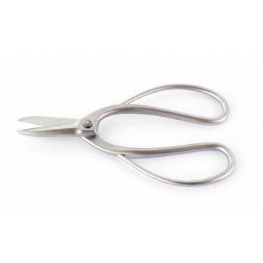 Stainless Steel Root Scissors 180mm - Masakuni N8001