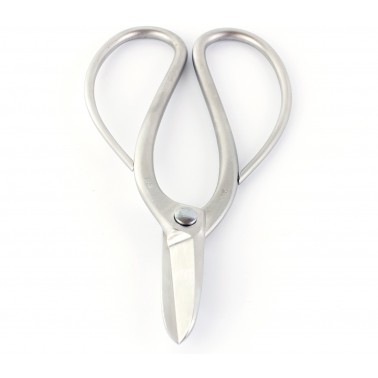 Stainless Steel Root Scissors 180mm - Masakuni N8001