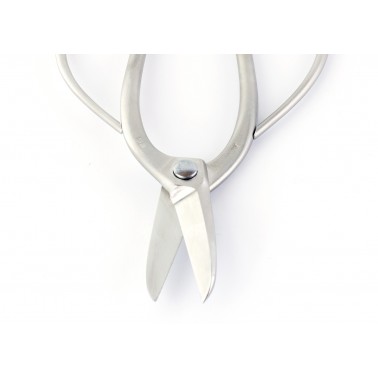 Stainless Steel Root Scissors 180mm - Masakuni N8001