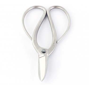Stainless Steel Root Scissors 180mm - Masakuni N8001