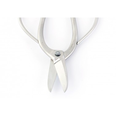 Stainless Steel Root Scissors 180mm - Masakuni N8001