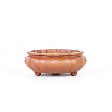 Maceta Bonsái Yixing ASE-3142