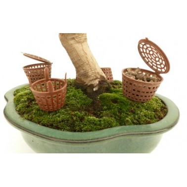 Abono Orgánico Green King  1Kg