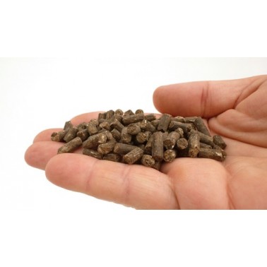 Abono Orgánico Green King  1Kg