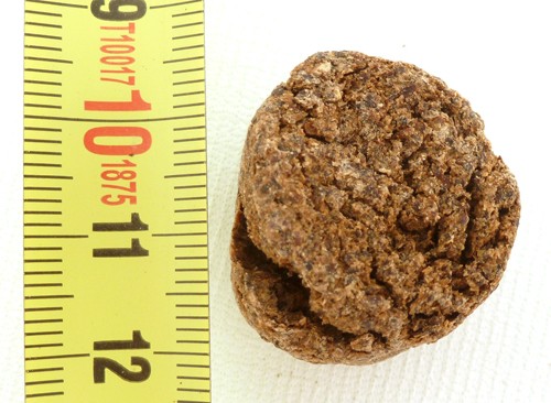 Concime Organico Hanagokoro Per Bonsai - 500gr, A Lenta Cessione | Per Bonsai E Prebonsai In Sviluppo - Foto 3