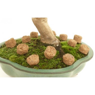 Hanagokoro  500gr - Grano Grueso