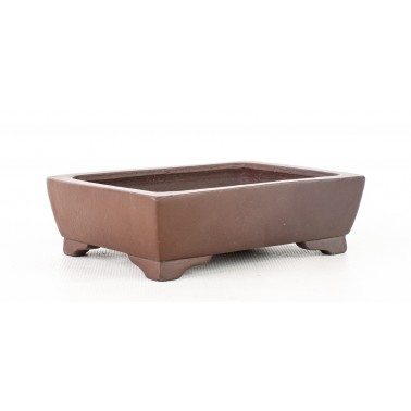 Shibakatsu Bonsai Pot AUT-453