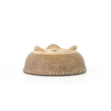 Maceta Bonsái Autor Desconocido 455