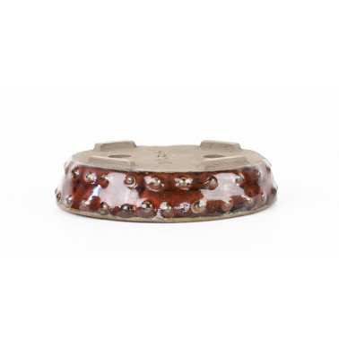 Maceta Bonsái Autor Desconocido 462