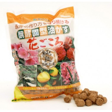 Hanagokoro  500gr - Grano Medio