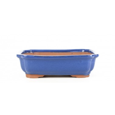 Yixing Bonsai Pot MJ-116B