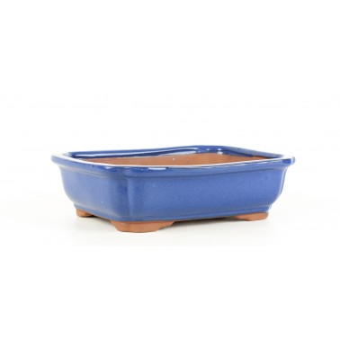 Yixing Bonsai Pot MJ-116B