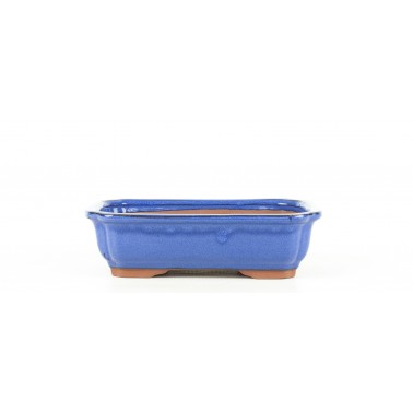 Yixing Bonsai Pot MJ-116C