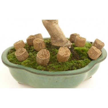 Joy Tamahi  8Kg - Grano Grueso