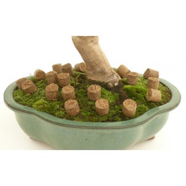 Joy Tamahi  8Kg - Grano Pequeño