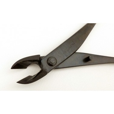 Podadora Cóncava, Especial Shohin