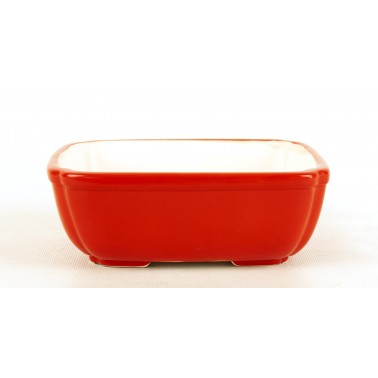 Maceta Bonsái Yixing SCF-0001