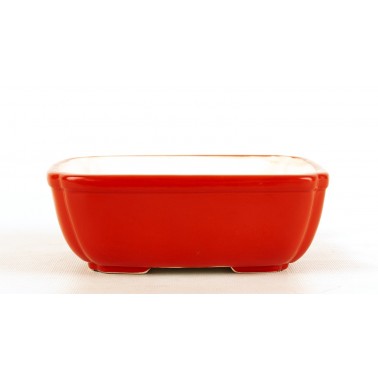 Maceta Bonsái Yixing SCF-0001