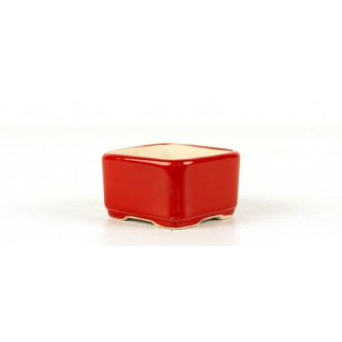 Yixing Bonsai Pot SZF-0007