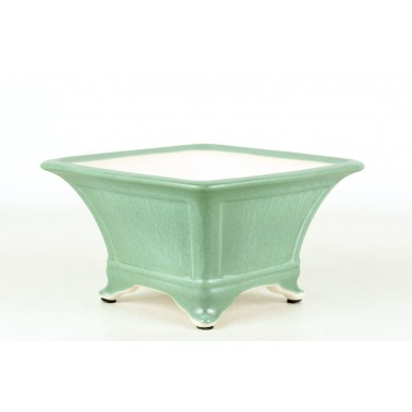 Maceta Bonsái Yixing SZF-0008