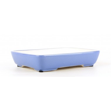 Maceta Bonsái Yixing SCF-0004