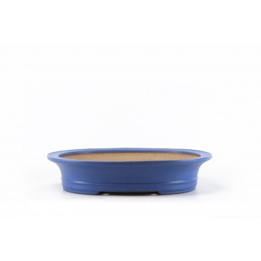 Reihou Bonsai Pot 2129