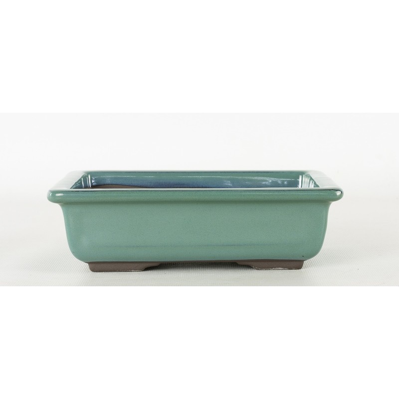 Maceta Bonsái Yokkaichi M31-125