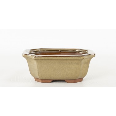 Maceta Bonsái Yixing G059-MU