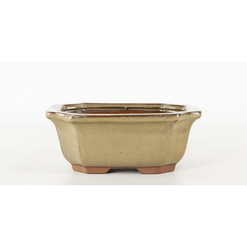 Maceta Bonsái Yixing G059-MU