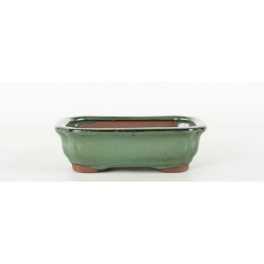 Maceta Bonsái Yixing JL08-FG