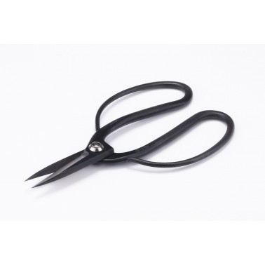 Root scissors 180mm