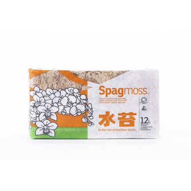 Sphagnum Moss 150gr