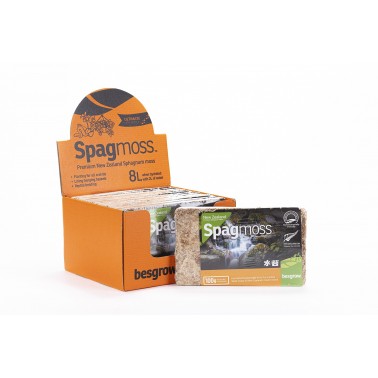 Musgo Sphagnum 100gr (altamente prensado)