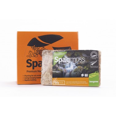 Sphagnum Moss 100gr (highly pressed)