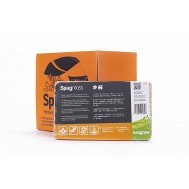 Sphagnum Moss 100gr (highly pressed)