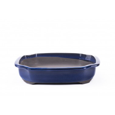 Maceta Bonsái de Seto 1B-06A