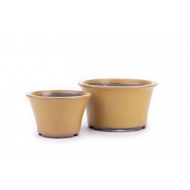 MacetaS Bonsái Yokkaichi M50-03A