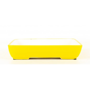 Yixing Bonsai Pot SCF-0006