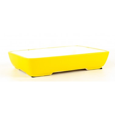 Yixing Bonsai Pot SCF-0006