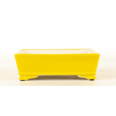 Yixing Bonsai Pot SCF-0016